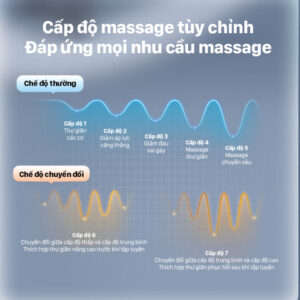 9bed2c1c 0226 45fa 83b3 844b933796ea