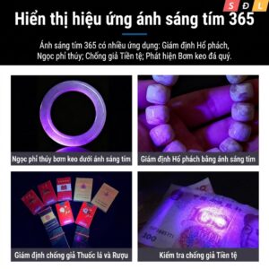 Đèn pin có zoom Philips SFL2092 bật thầy soi ngọc | tem chống giả | tia laser | phát hiện nấm mèo 2 3 6