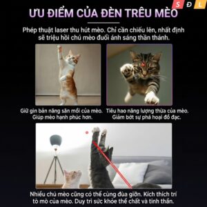Đèn pin có zoom Philips SFL2092 bật thầy soi ngọc | tem chống giả | tia laser | phát hiện nấm mèo 4 5 5